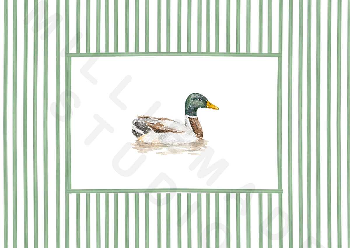 Duck postcard