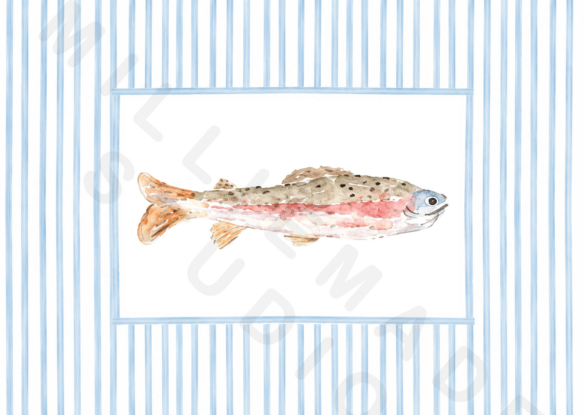 Trout postcard - rainbow