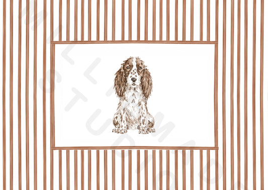 Spaniel postcard